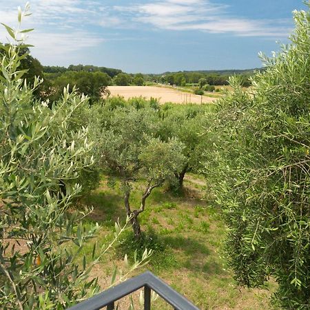 Cottage Zizzolo Riparbella Exterior foto